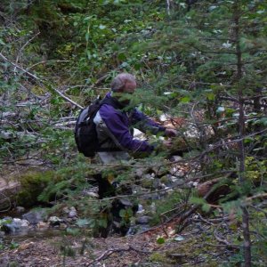 Windy_Ridge_2011_046