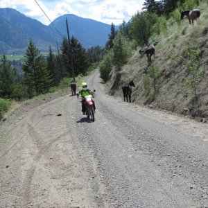 IMG_0576