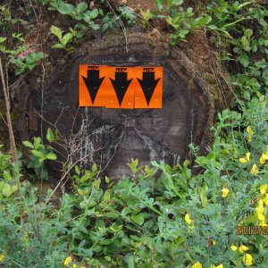 No Work Zone