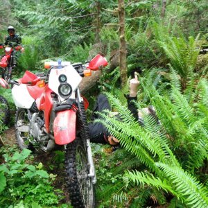 NWZ Ride June 16th 2012