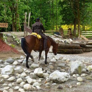 twisted_trail_126