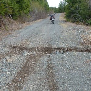 twisted_trail_180