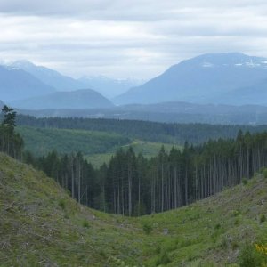 twisted_trail_194