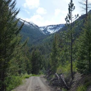 twisted_trail_019