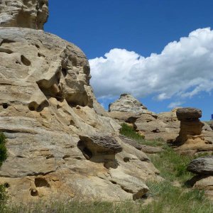 P1010561