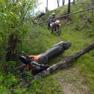 dead_zone_2012_242