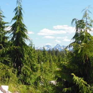 On the road to Mount Cain