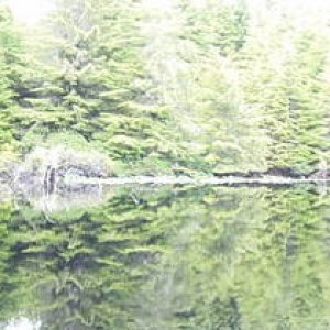 Black Lake