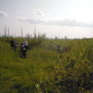 LSDS 2012