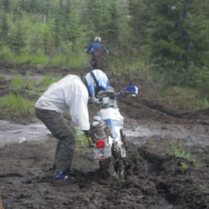 LSDS 2012