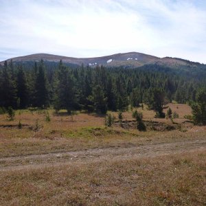 P1000361