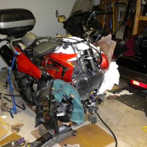 Dscn05321