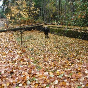 Nov 4 2012