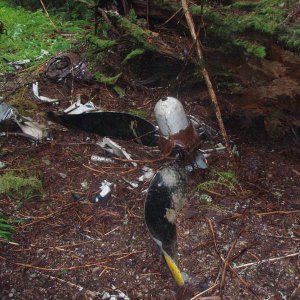 B24 11121 crash site photos