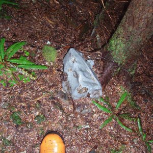 B24 11121 crash site photos