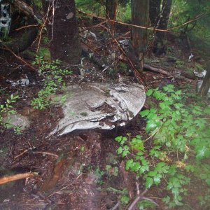 B24 11121 crash site
