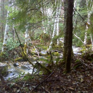 DSC00028