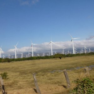 P1030040