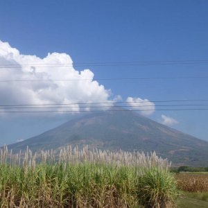 P1030190