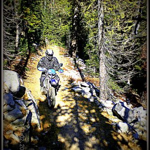 SUMMIT TRAIL