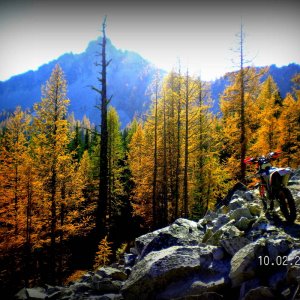 SUMMIT TRAIL