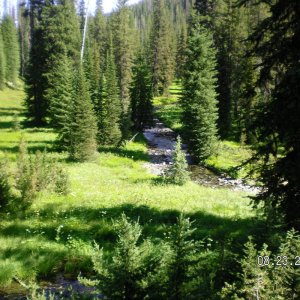 meadow along NS 715