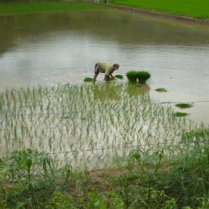 P1000981
