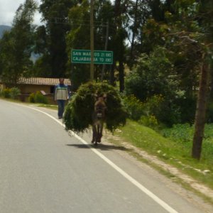 P1010399