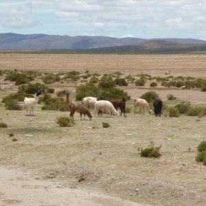 P1040968