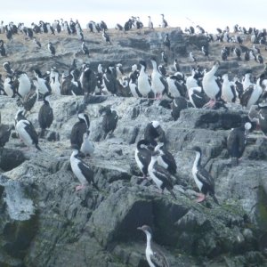P1050881