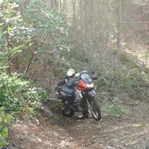 Nanaimo area Feb 23 2013