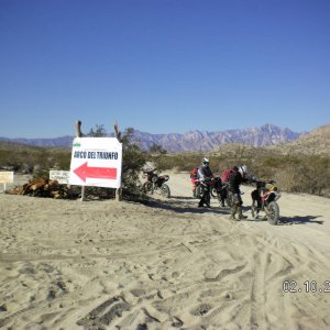 baja dead cow