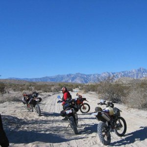 heading towards the salt flats, dead cow intersection.