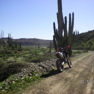 baja_2013_feb_021
