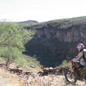 mulege