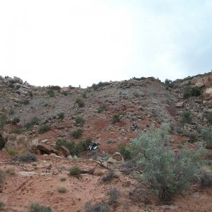 100_0551