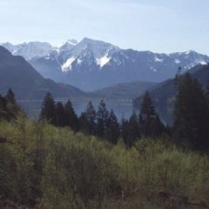 Harrison1