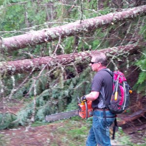 Winter blow down near Lois Lake