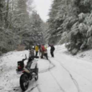 IMG_1151