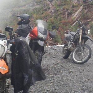 Orca run 2013