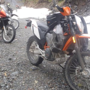 Orca run 2013