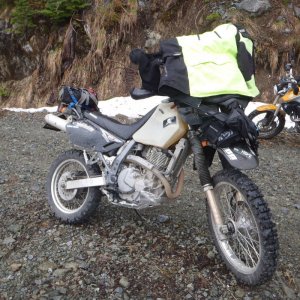 Orca run 2013