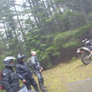 Orca run 2013