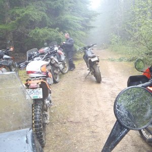orca run 2013