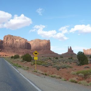P1070332_800x466_