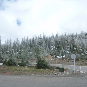 P1070475_800x600_