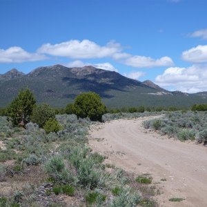 P1070519_800x600_