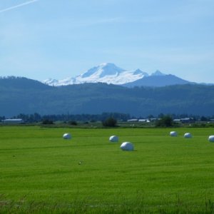 P1070708_800x438_