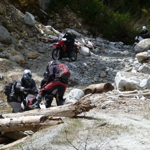 P1070727_800x600_