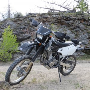 DRZ @ KVR